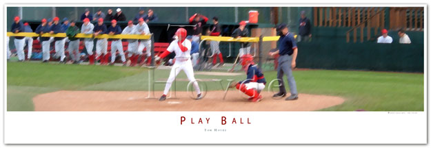 play baseball
