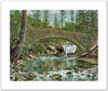 Whatcom Falls